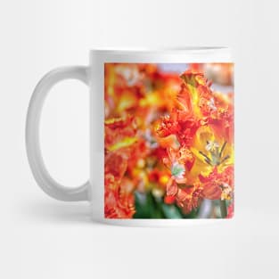 Close up of orange tulip Mug